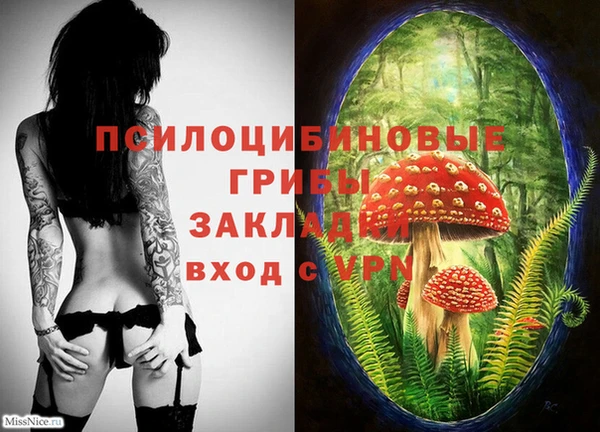 синтетический гашиш Заволжск